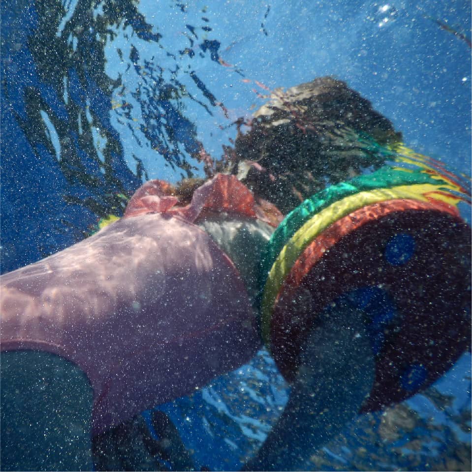 DELPHIN